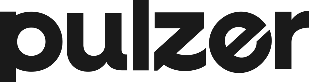 logo da empresa pulzer